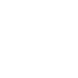 EN Indy icon
